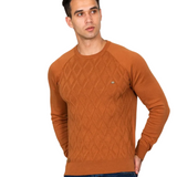 Heren trui met ruitpatroon V2